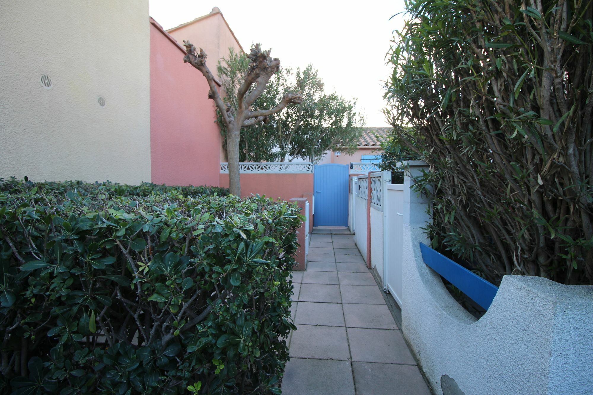 Appartement Charmant A Canet En Roussillon 36 M² Piscine Partagee Exteriör bild
